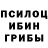 Псилоцибиновые грибы прущие грибы allnbkzh