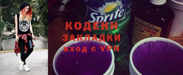 ПСИЛОЦИБИНОВЫЕ ГРИБЫ Горняк