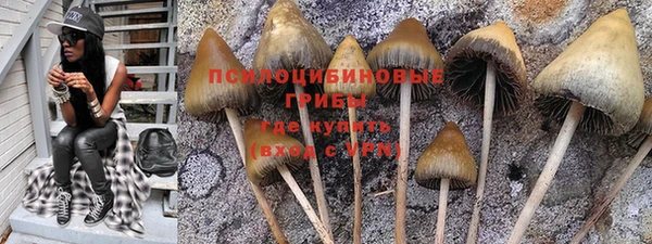 гидропоника Гусь-Хрустальный