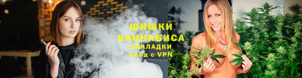гидропоника Гусь-Хрустальный