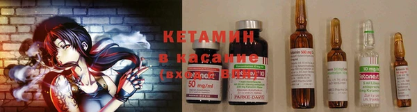 ПСИЛОЦИБИНОВЫЕ ГРИБЫ Горняк