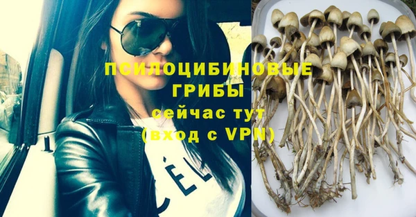 ПСИЛОЦИБИНОВЫЕ ГРИБЫ Горняк