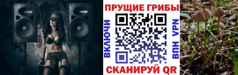 МЕГА вход  Нефтекамск  Псилоцибиновые грибы Cubensis  дарнет шоп 